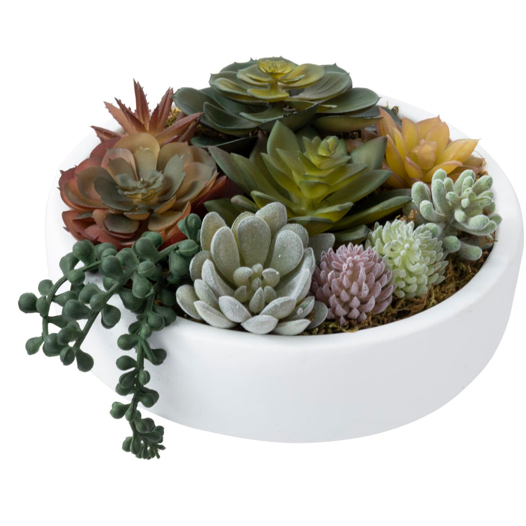 Round Modern Artificial Succulent Arrangement