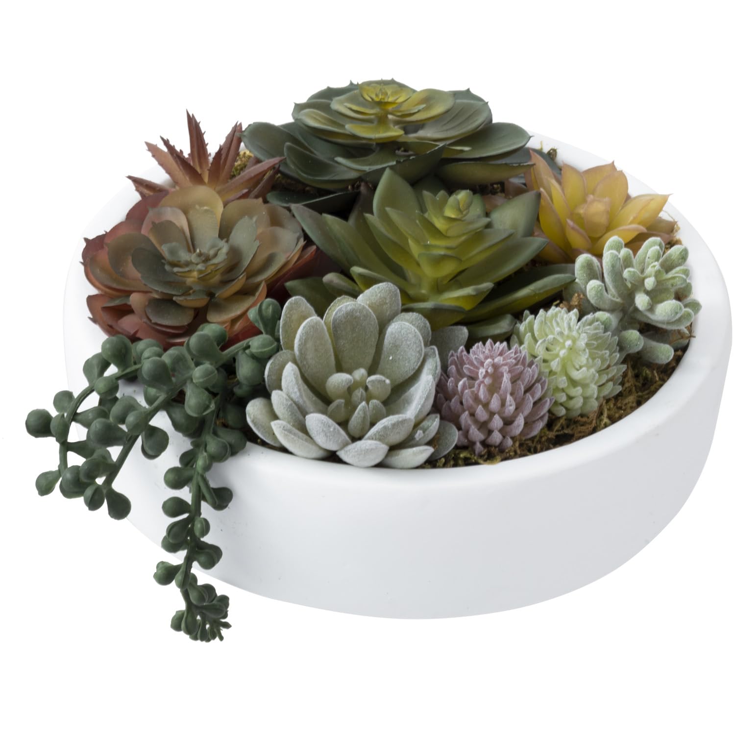 Round Modern Artificial Succulent Arrangement