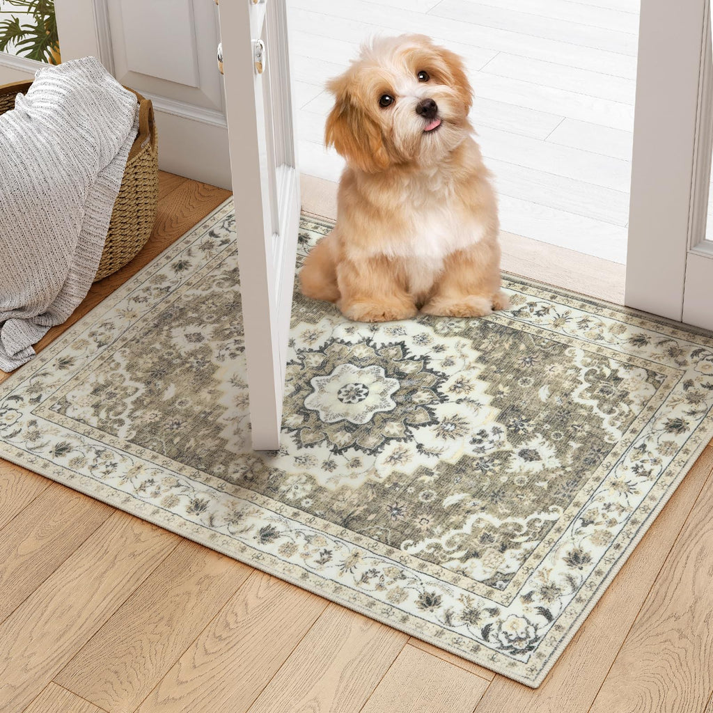 Sungea Indoor Door Mat