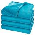 Fleece lightweight Throw Blanket