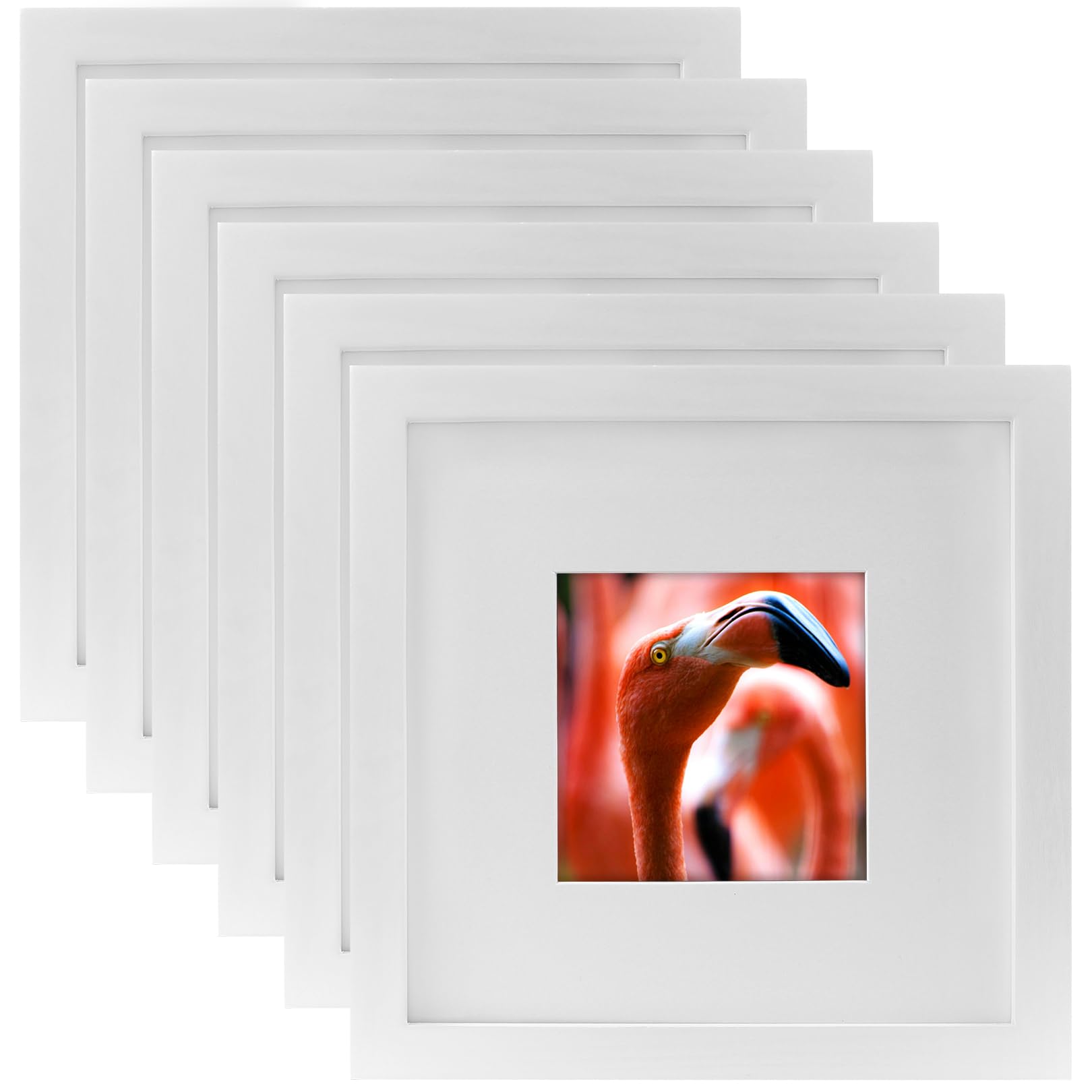 8x8 White Picture Frames Square Nature Solid Wood 6 Pack