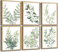 Induslyfe Framed Eucalyptus Sage Green Botanical Plant Wall Art