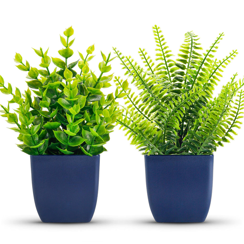 Der Rose 2 Pack Small Artificial Plants in Blue Pots