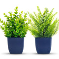 Der Rose 2 Pack Small Artificial Plants in Blue Pots