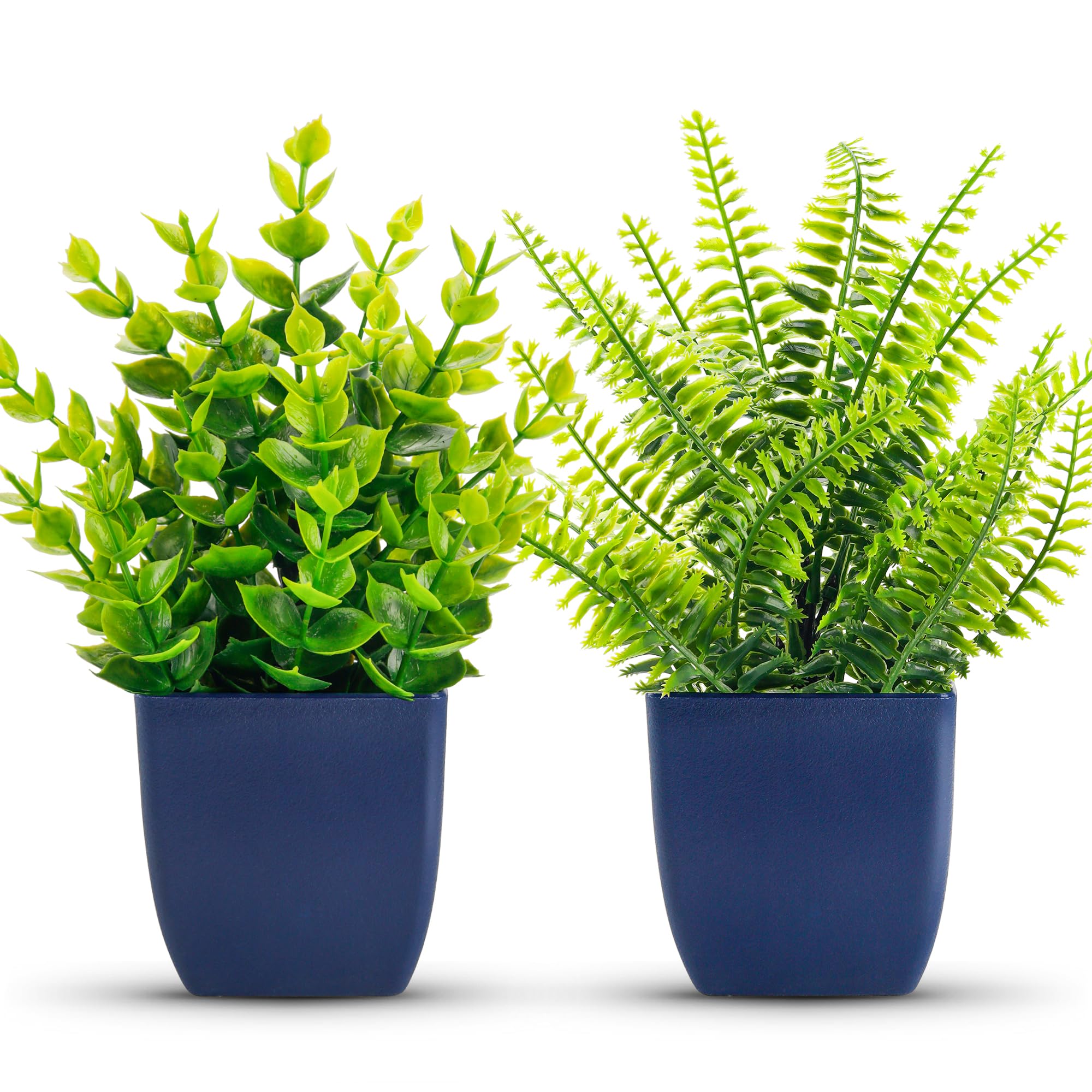 Der Rose 2 Pack Small Artificial Plants in Blue Pots