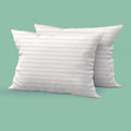 Trendy HomeThrow Pillow Insert Bed and Couch Pillows