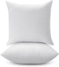 Throw Pillow Insert - Pack of 2