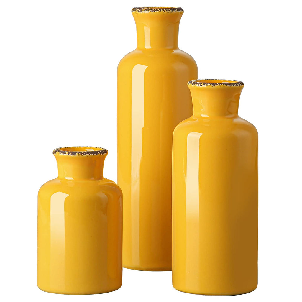 CwlwGO- Ceramic Vase Set of 3